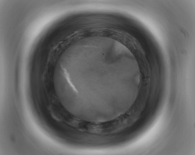 X0000112900143200910021442