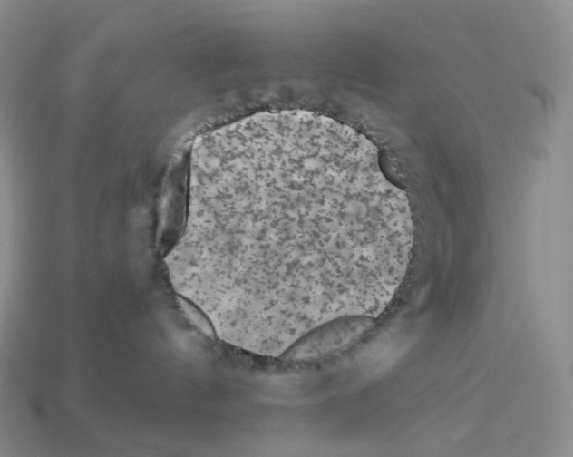 X0000112900144200910021442