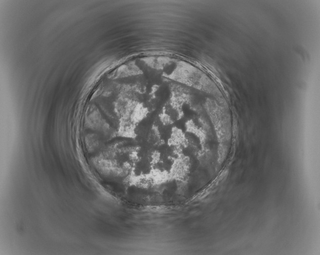 X0000112900145200910021441