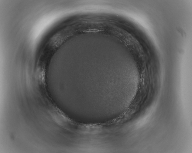 X0000112900146200910021441