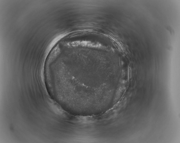 X0000112900147200910021441