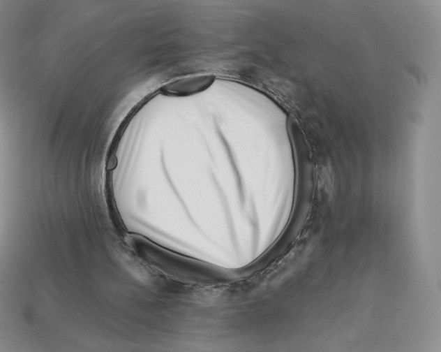 X0000112900148200910021441