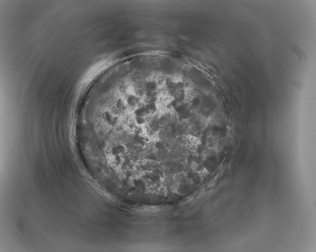 X0000112900149200910021441