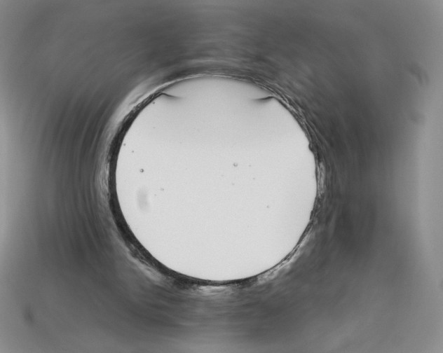X0000112900150200910021441