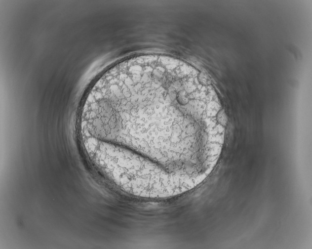 X0000112900151200910021441