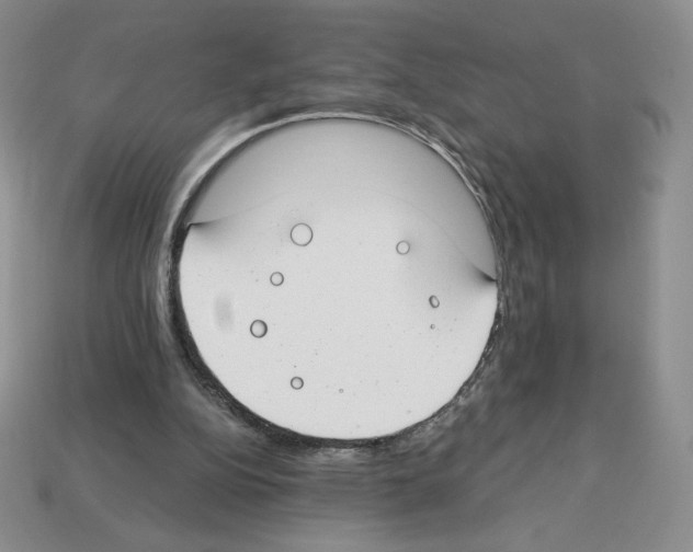 X0000112900152200910021441