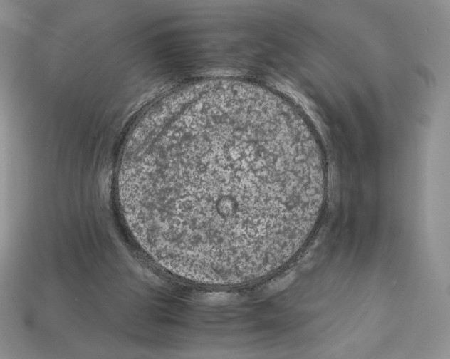 X0000112900153200910021441