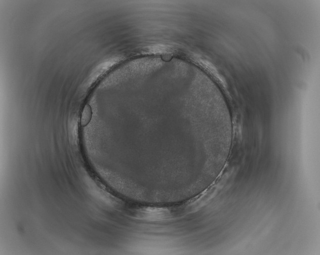 X0000112900154200910021441