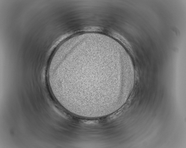 X0000112900155200910021441