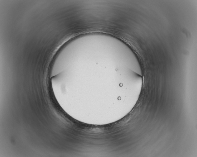 X0000112900156200910021441