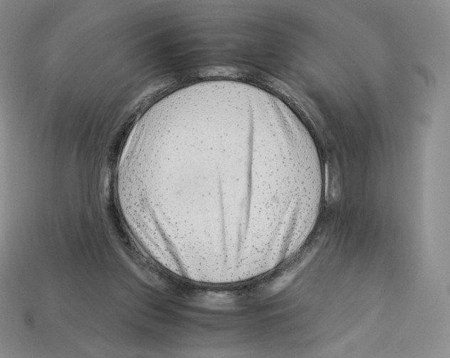 X0000112900157200910021441