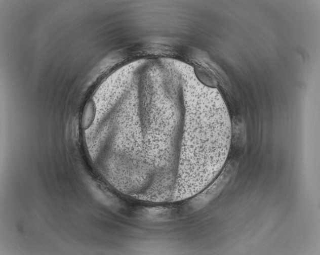 X0000112900158200910021441