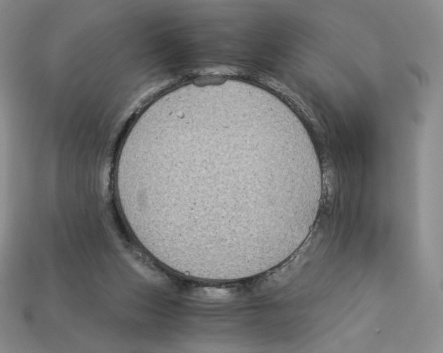 X0000112900159200910021441