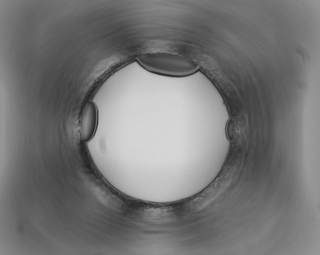 X0000112900160200910021441