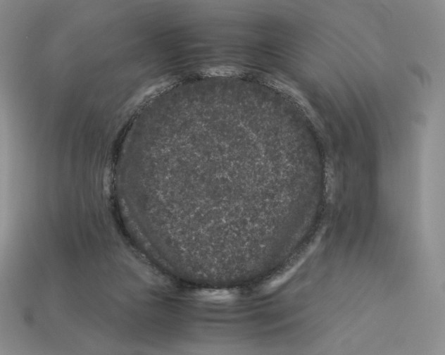 X0000112900161200910021442