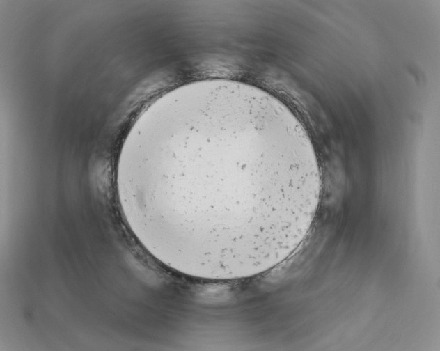 X0000112900162200910021442