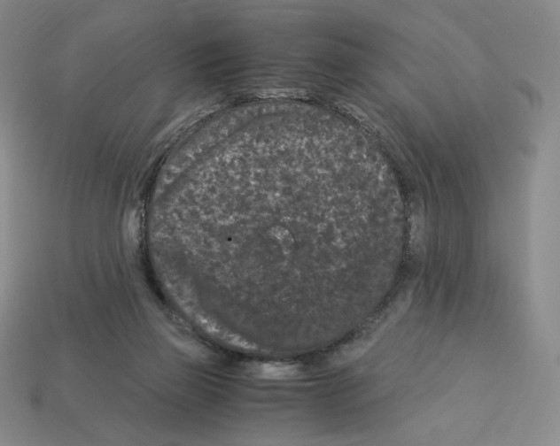 X0000112900165200910021442