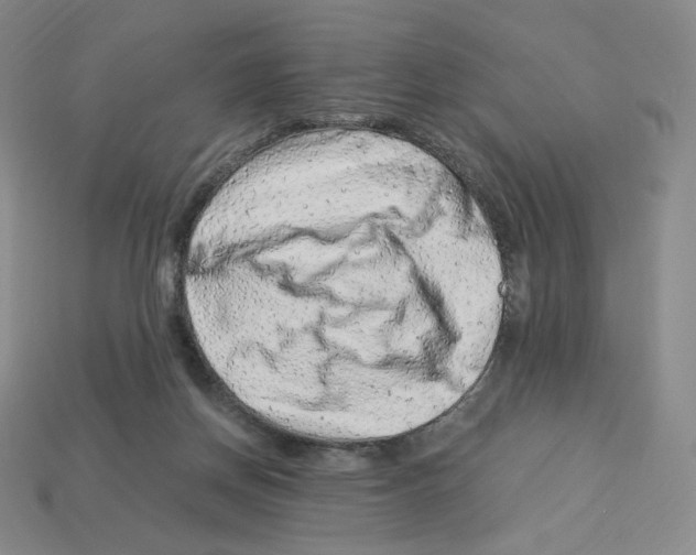 X0000112900166200910021442