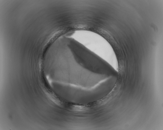 X0000112900167200910021442