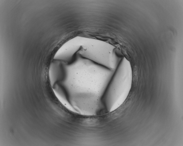 X0000112900168200910021442