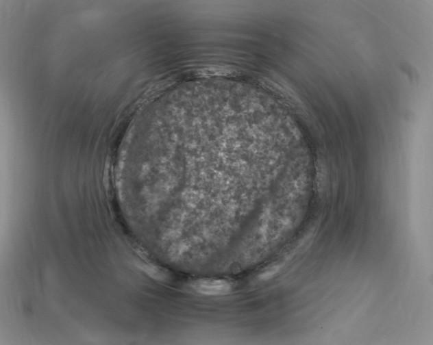 X0000112900169200910021442
