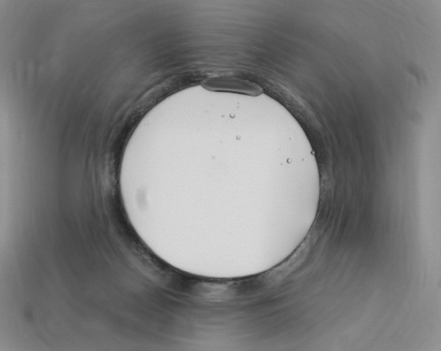 X0000112900170200910021442