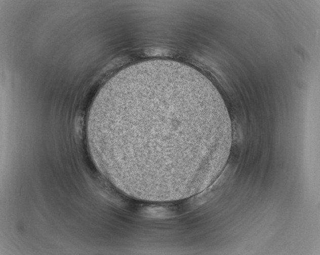 X0000112900171200910021442
