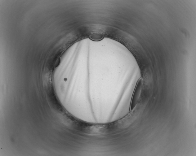 X0000112900172200910021442
