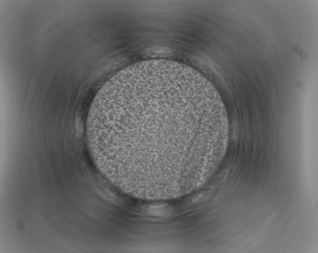 X0000112900173200910021442