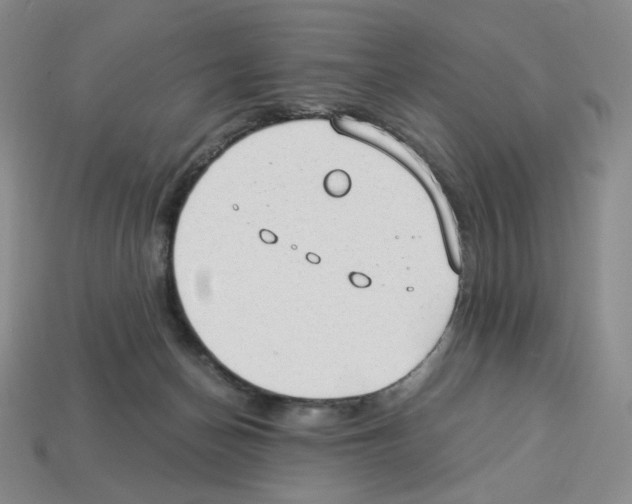 X0000112900174200910021442