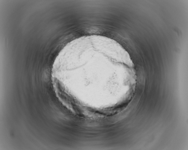 X0000112900175200910021442