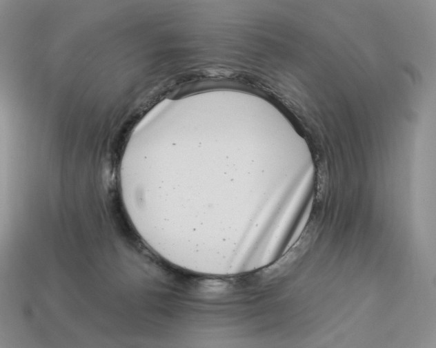 X0000112900176200910021442