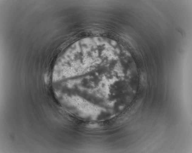 X0000112900177200910021442