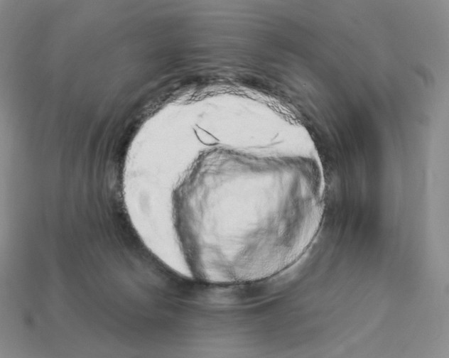X0000112900178200910021442