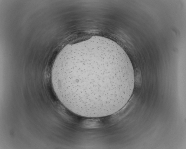 X0000112900179200910021442