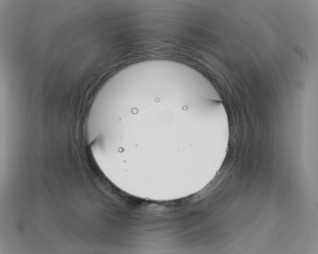 X0000112900180200910021442