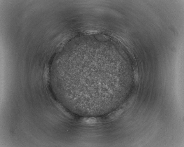 X0000112900181200910021442