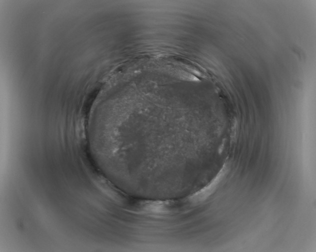 X0000112900182200910021442