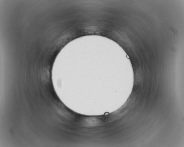 X0000112900183200910021442