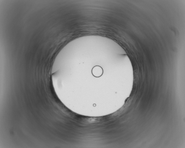 X0000112900184200910021442
