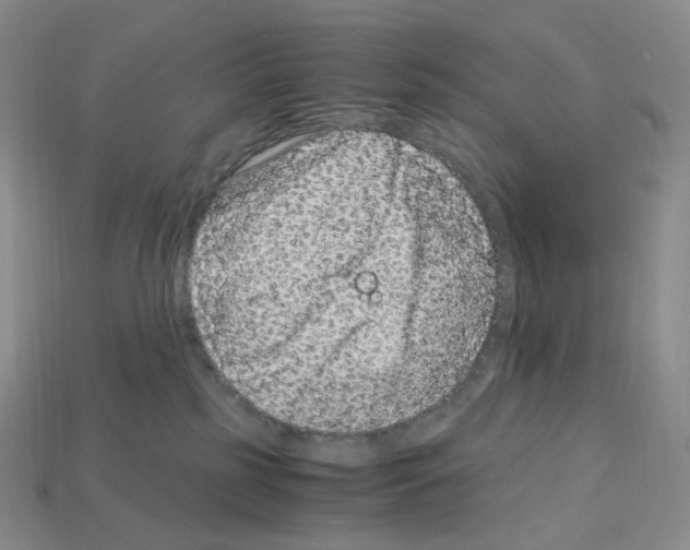 X0000112900185200910021442