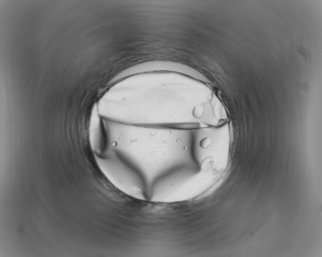 X0000112900186200910021442