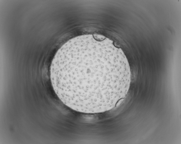 X0000112900187200910021442