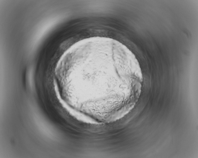 X0000112900189200910021442