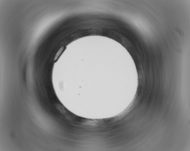 X0000112900190200910021442