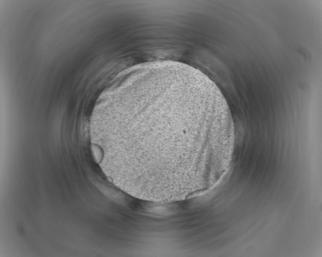 X0000112900191200910021442
