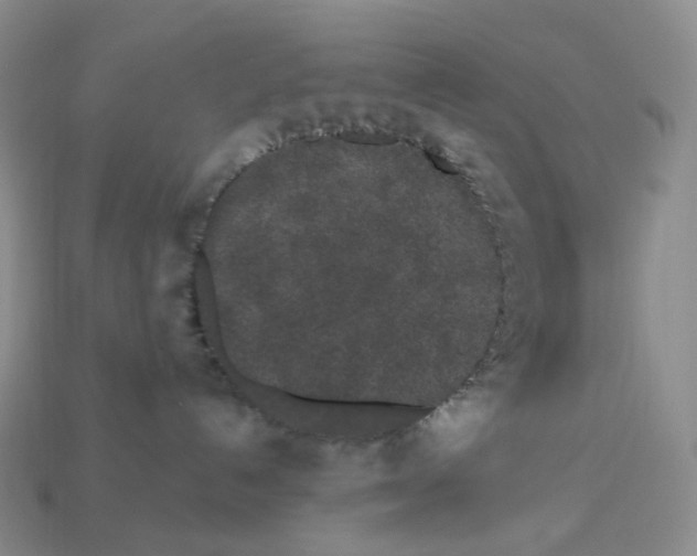 X0000112900192200910021442
