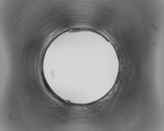 X0000112900193200910021441