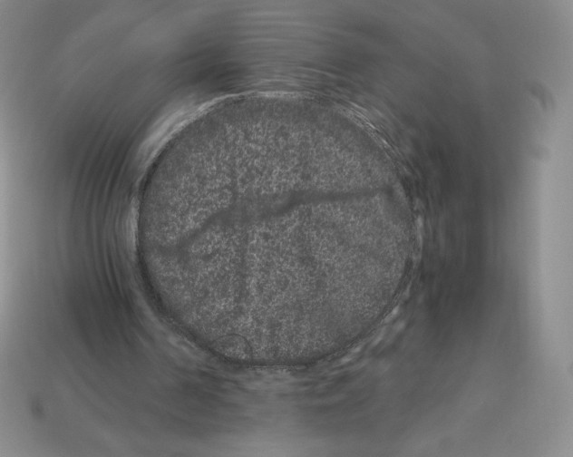 X0000112900194200910021441