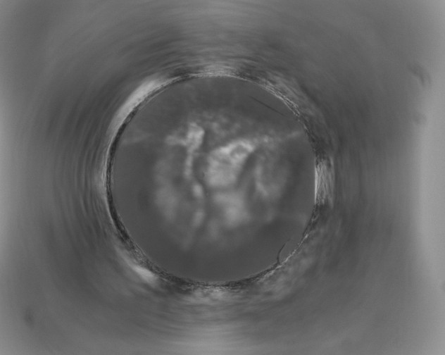 X0000112900195200910021441